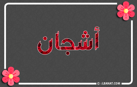 إسم أشجان مكتوب بورود حمراء