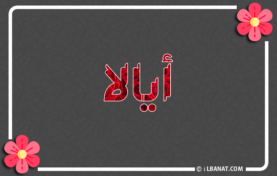 إسم أيالا مكتوب بورود حمراء