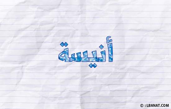 إسم أنيسة مكتوب بورقة