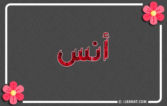 إسم أنس مكتوب بورود حمراء