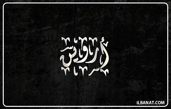 إسم أروين مكتوب بالخط الديواني