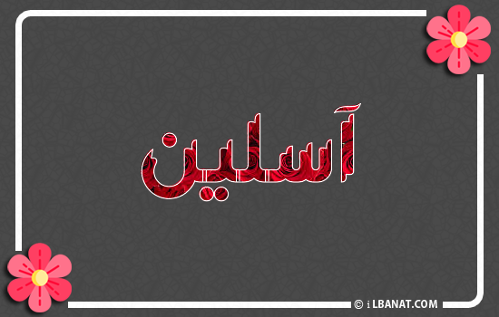 إسم آسلين مكتوب بورود حمراء