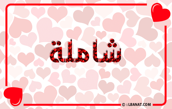 إسم شاملة مكتوب بقلوب حمراء