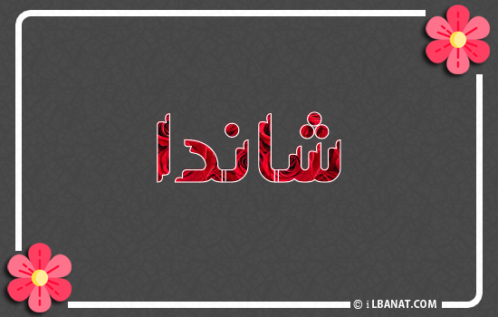 إسم شاندا مكتوب بورود حمراء
