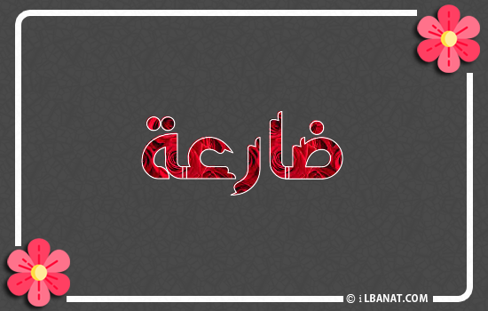 إسم ضارعة مكتوب بورود حمراء