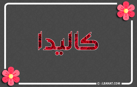 إسم كاليدا مكتوب بورود حمراء
