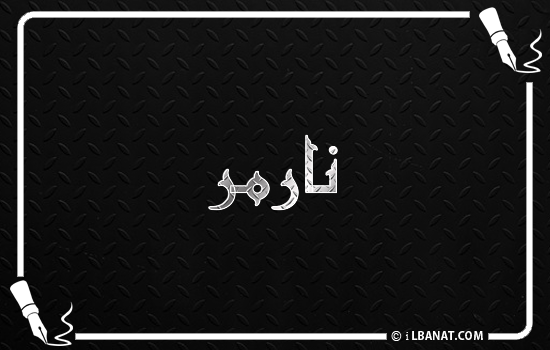 إسم نارمر مكتوب بالخط الكوفي