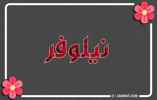 إسم نيلوفر مكتوب بورود حمراء