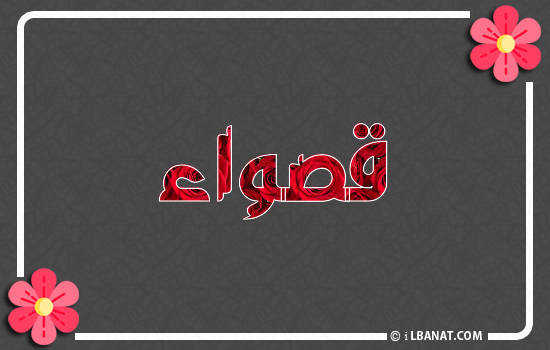 إسم قصواء مكتوب بورود حمراء