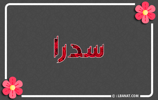 إسم سدرة مكتوب بورود حمراء