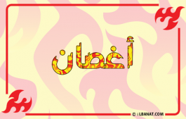 إسم أغصان