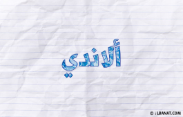 إسم ألاندي