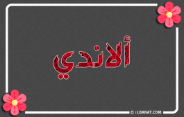إسم ألاندي