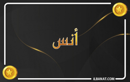 إسم أنس