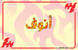 إسم أنوف