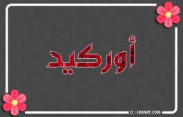إسم أوركيد