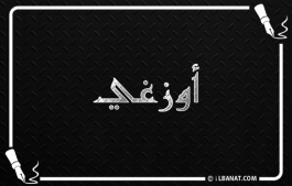 إسم أوزغي