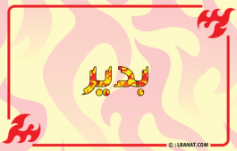 إسم بدير