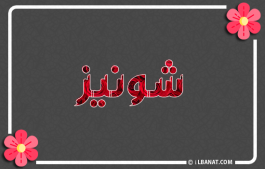 إسم شونيز