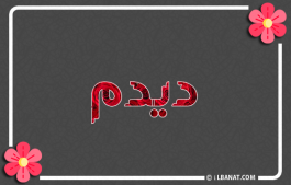إسم ديدم