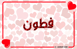 إسم فتون