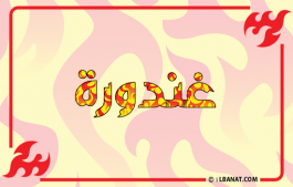 إسم غندورة