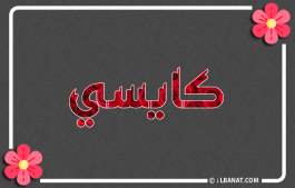 إسم كايسي