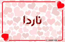 إسم ناردا