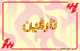 إسم نارفين