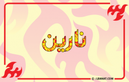 إسم نارين