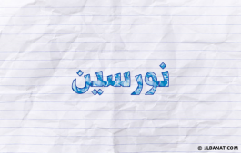 إسم نورسين