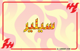إسم سيلير