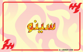 إسم سينو