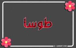 إسم طوسا
