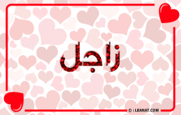 إسم زاجل