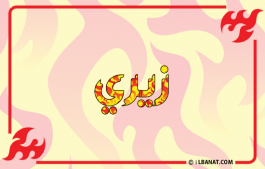 إسم زيري