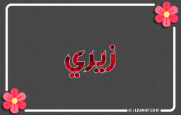 إسم زيري