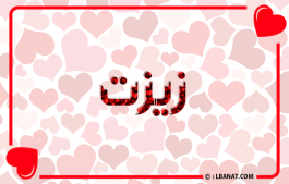 إسم زيزت
